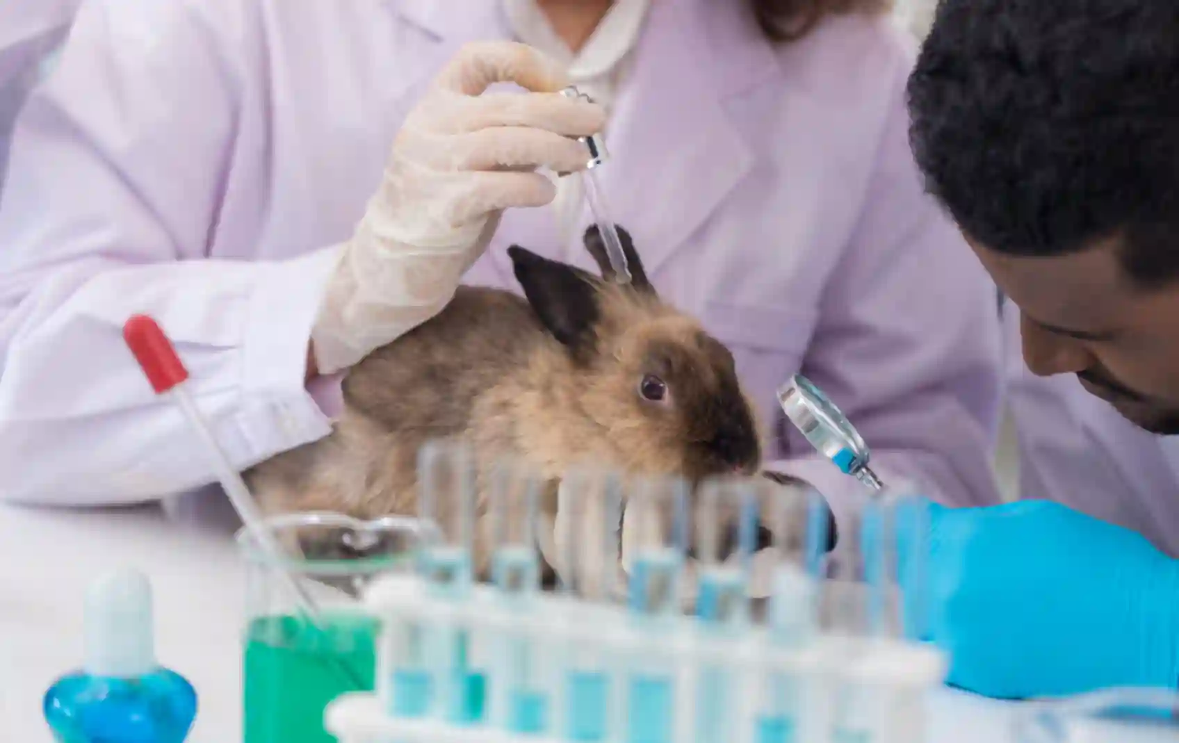 animal-testi_img